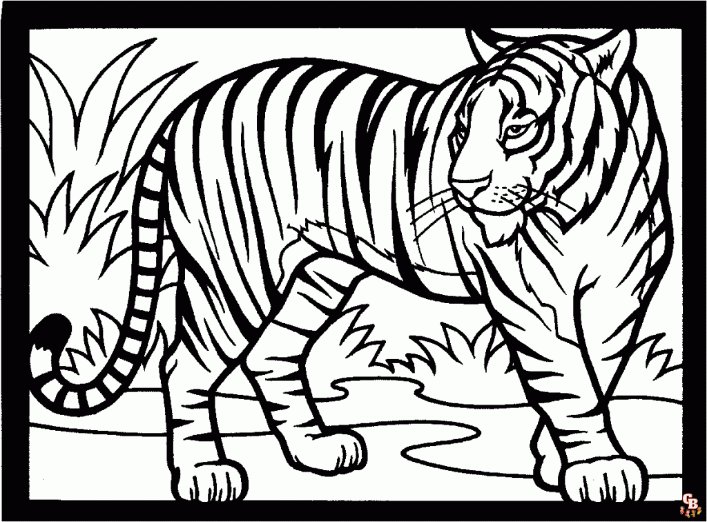 tigre colorido