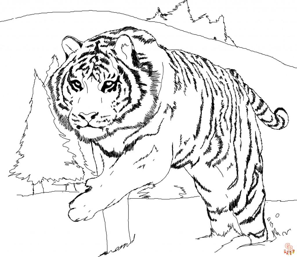 tigre da colorare