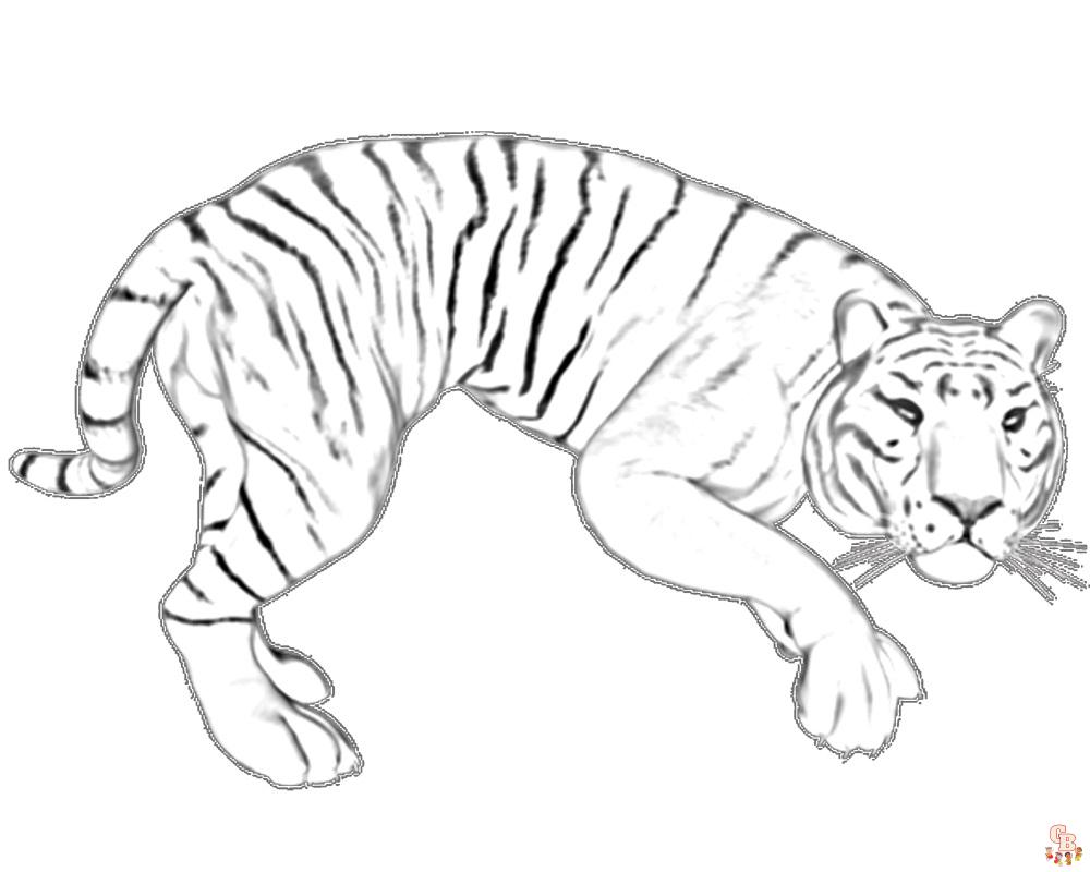 kolorowanie tygrysa