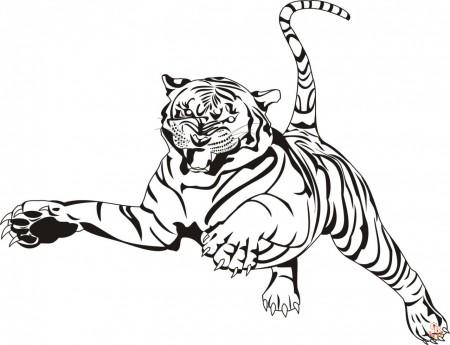 раскраска тигр