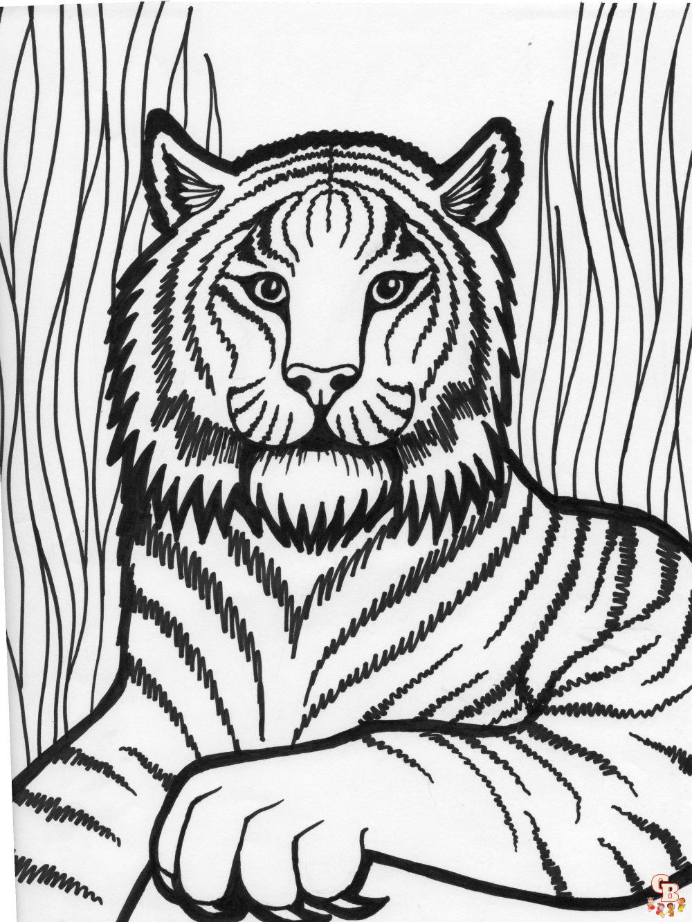 tigru de colorat