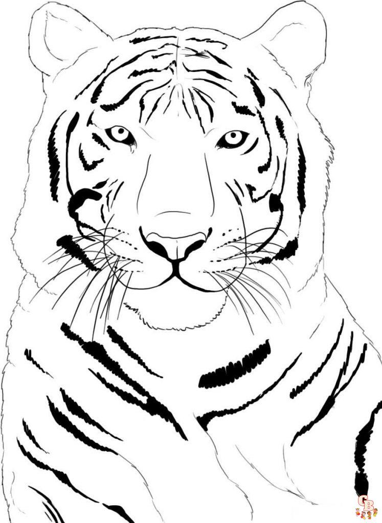 tigre da colorare