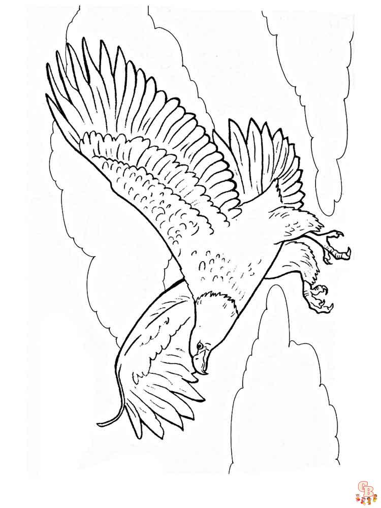 vulturi de colorat
