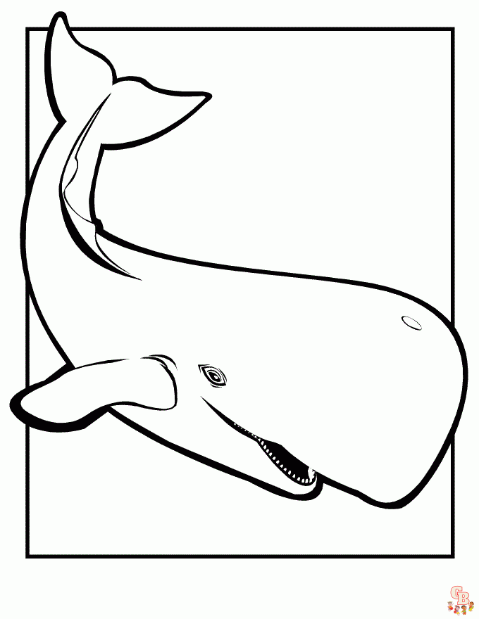 30+ páginas para colorir de baleias para crianças - GBcolorare