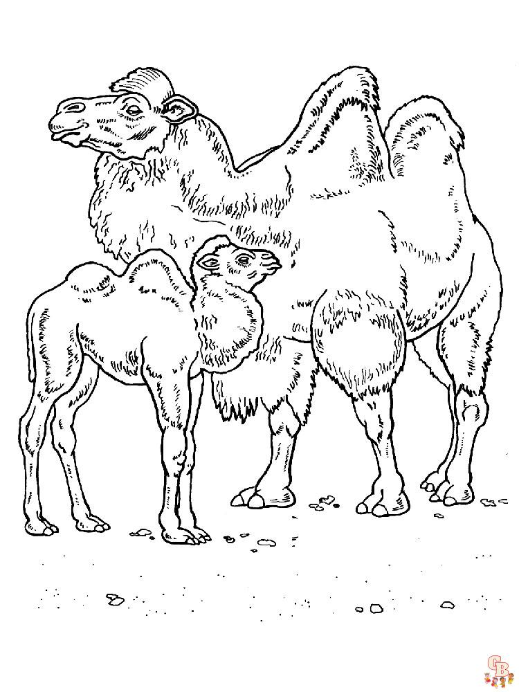 cammelli da colorare