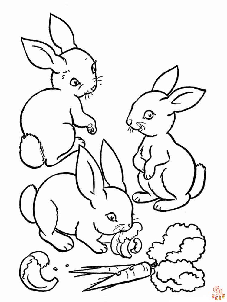 kolorowanie królików