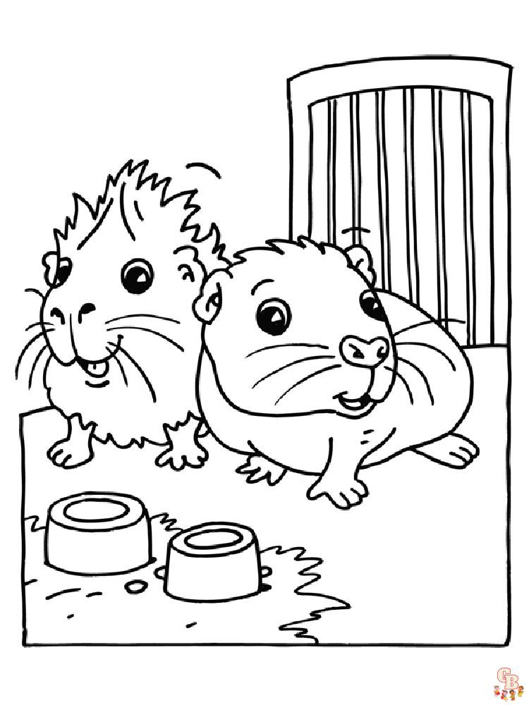 colorindo hamsters