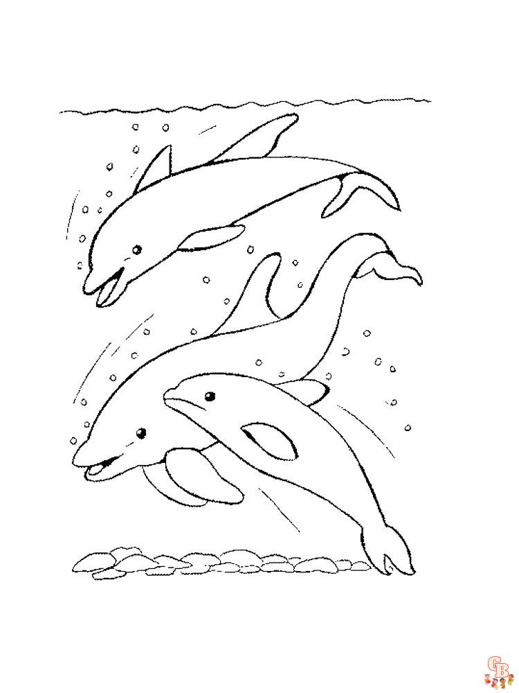 delfini da colorare