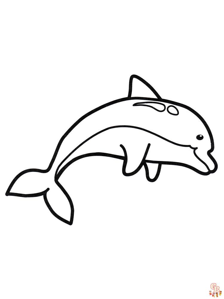 delfini de colorat