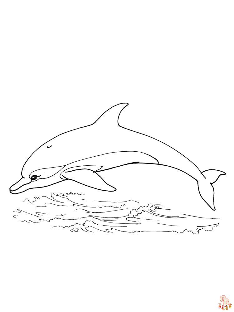 colorir golfinhos