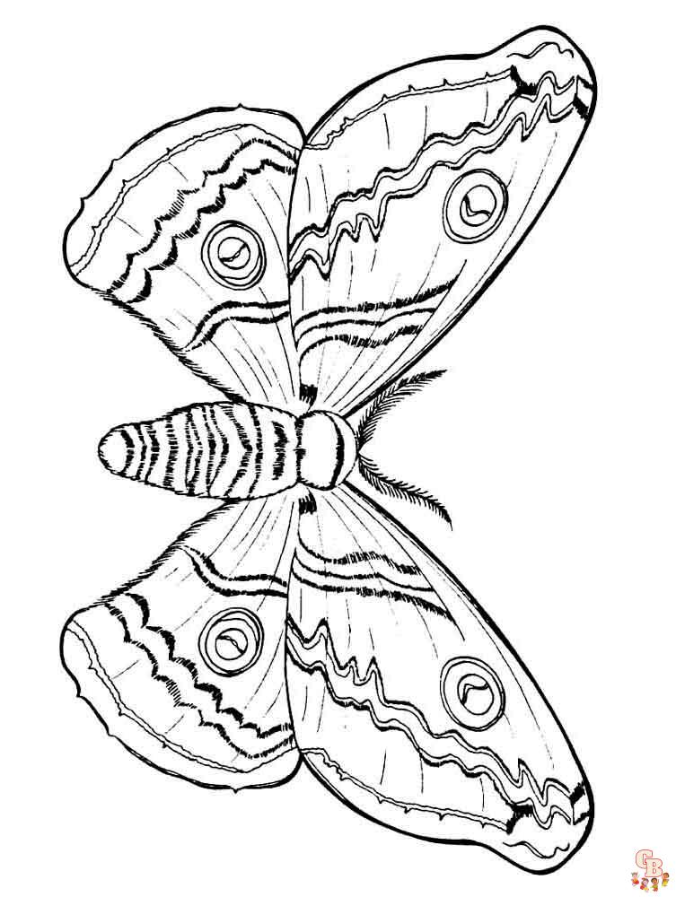 farfalle da colorare