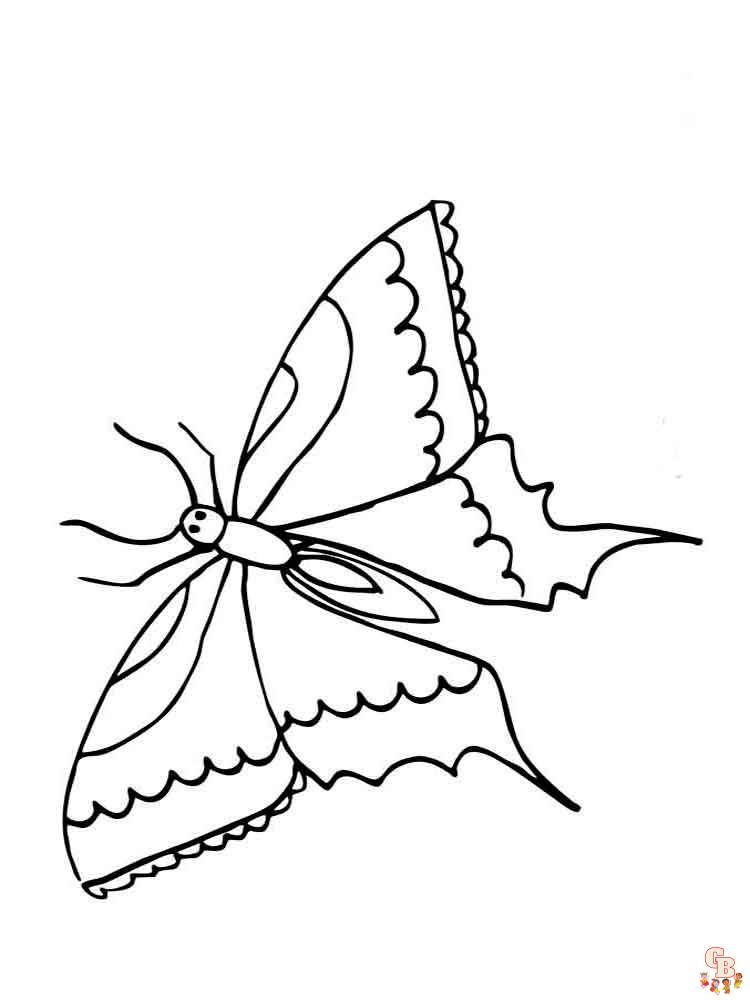 раскрашивание бабочек