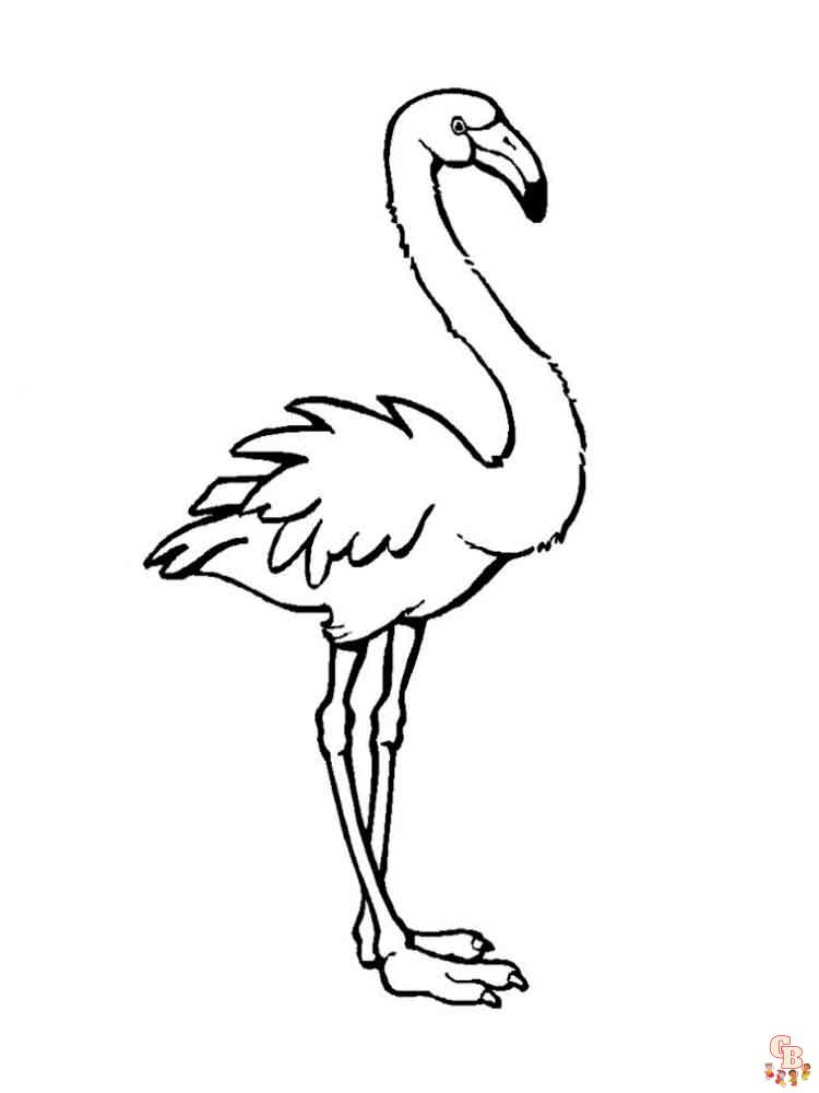 раскрашивание фламинго