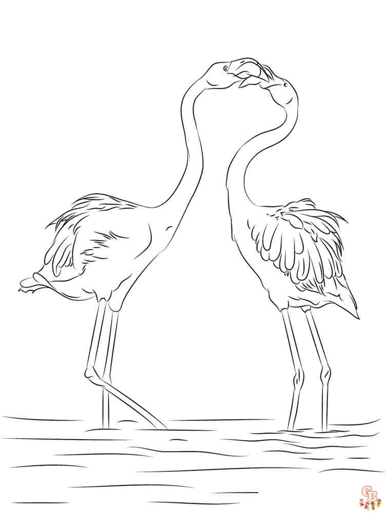 coloração de flamingos