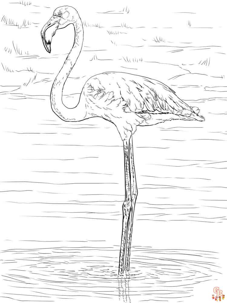 colorarea flamingo