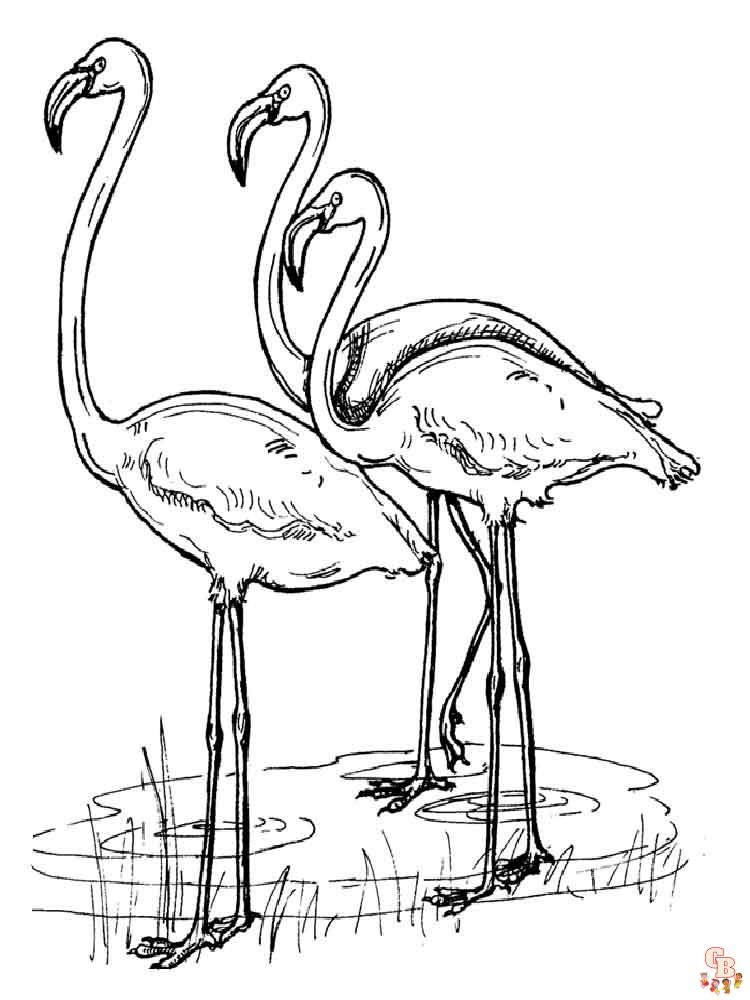 Páginas para colorir do flamingo para crianças