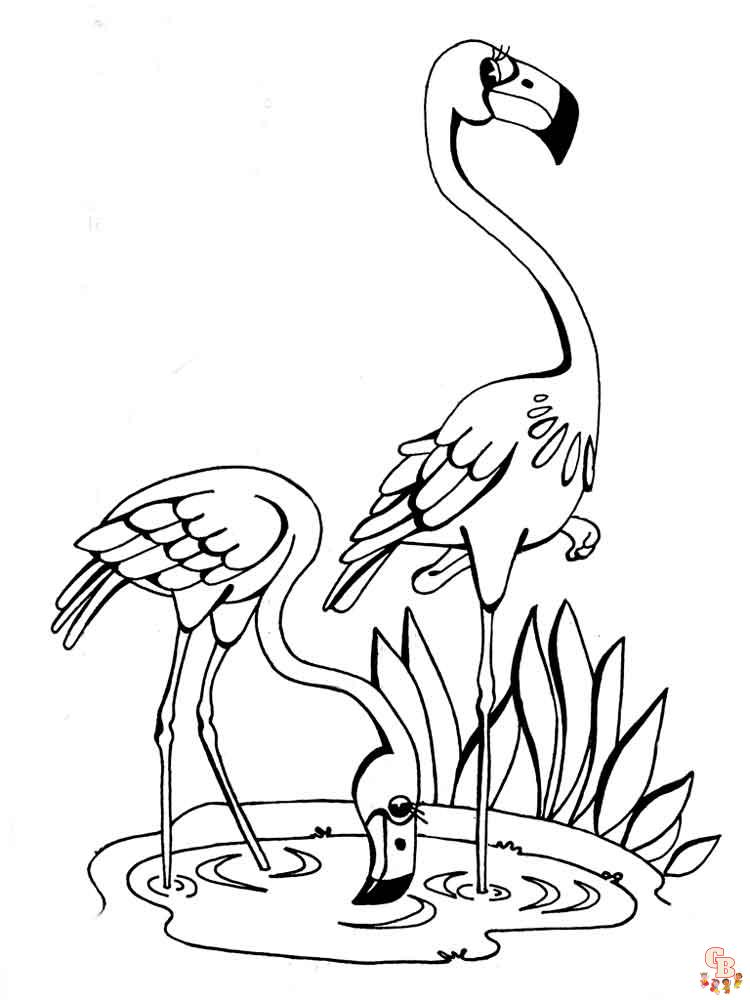 Páginas para colorir do flamingo para crianças