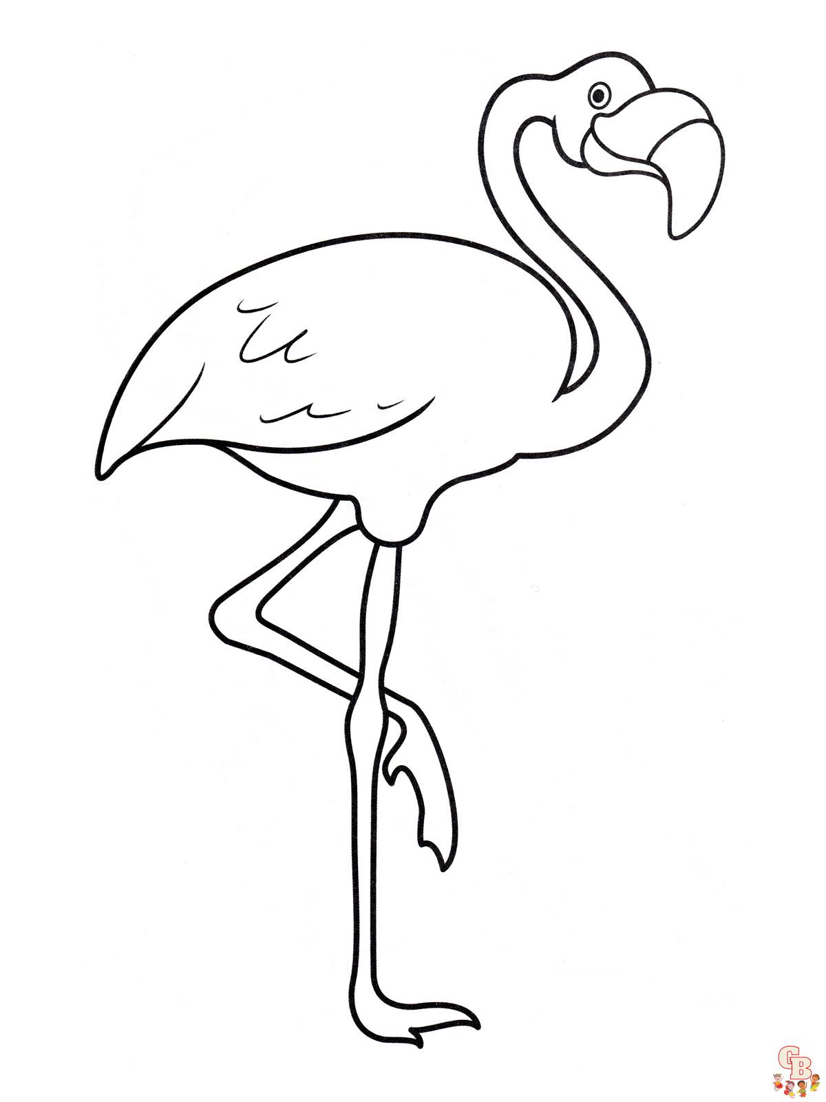 colorarea flamingo