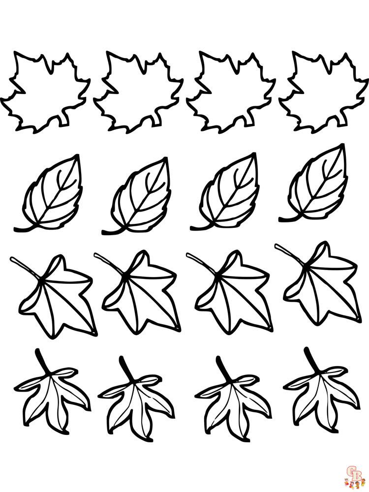 folhas de coloração