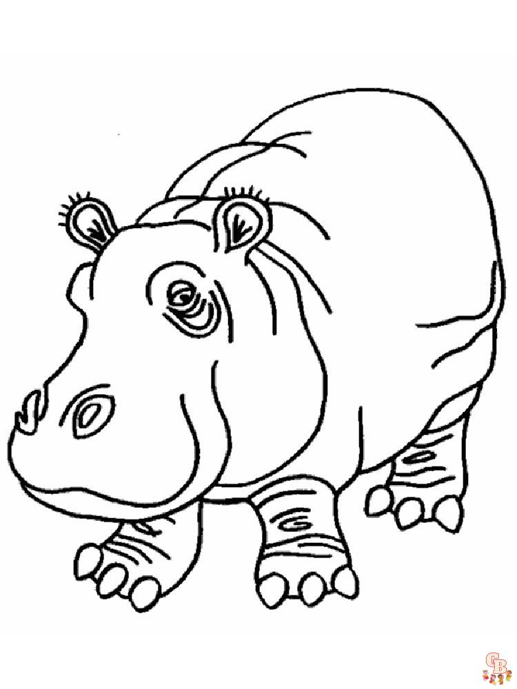 colorir hipopótamos