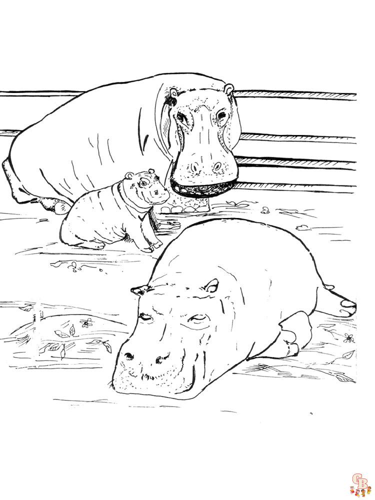 colorir hipopótamos