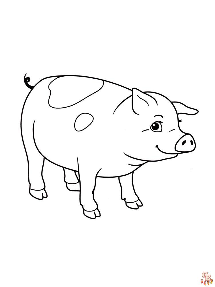 раскрашивание свиней