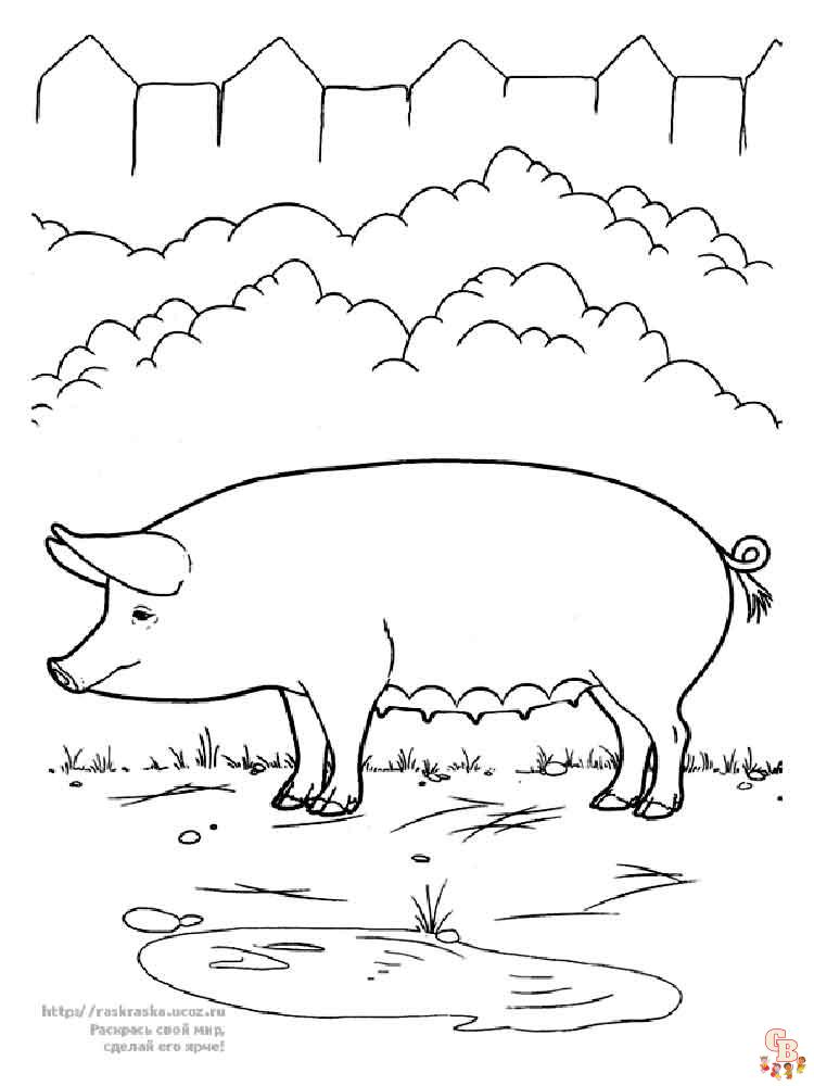 раскрашивание свиней