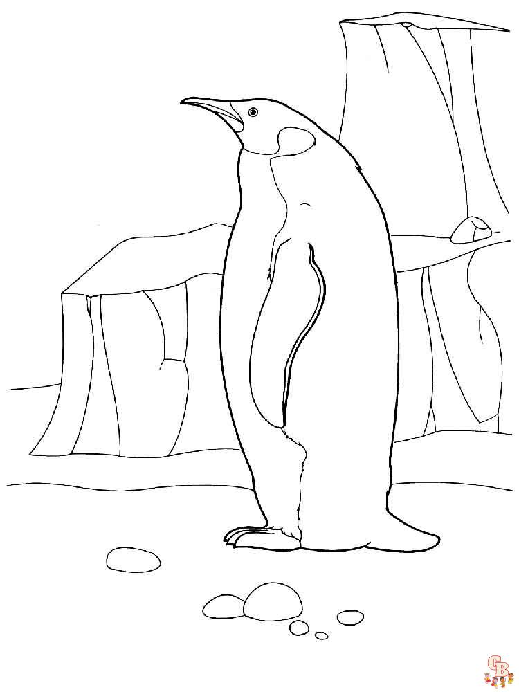 kolorowanie pingwinów