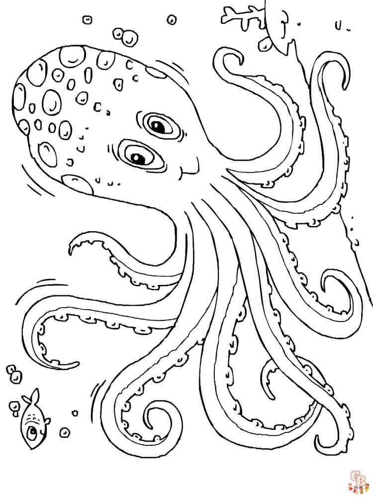 раскраска осьминог