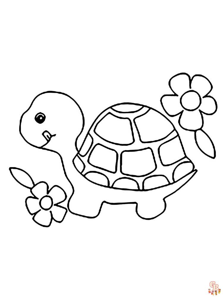 черепаха для раскрашивания